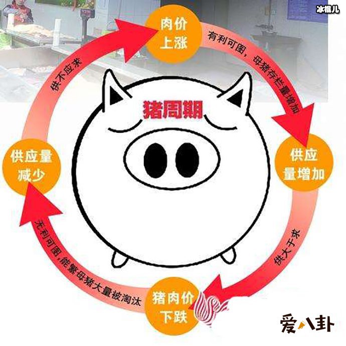 猪肉价连续上涨 网友纷纷吐槽吃不起